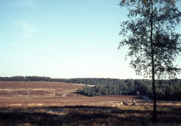 Natuurgebied Het Leesten