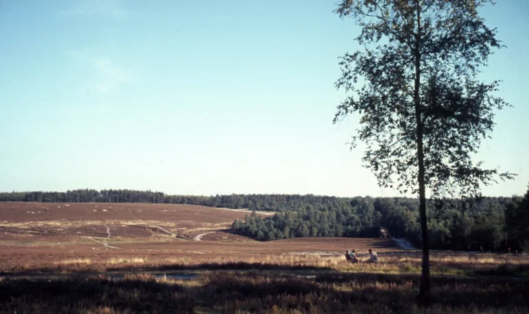 Natuurgebied Het Leesten