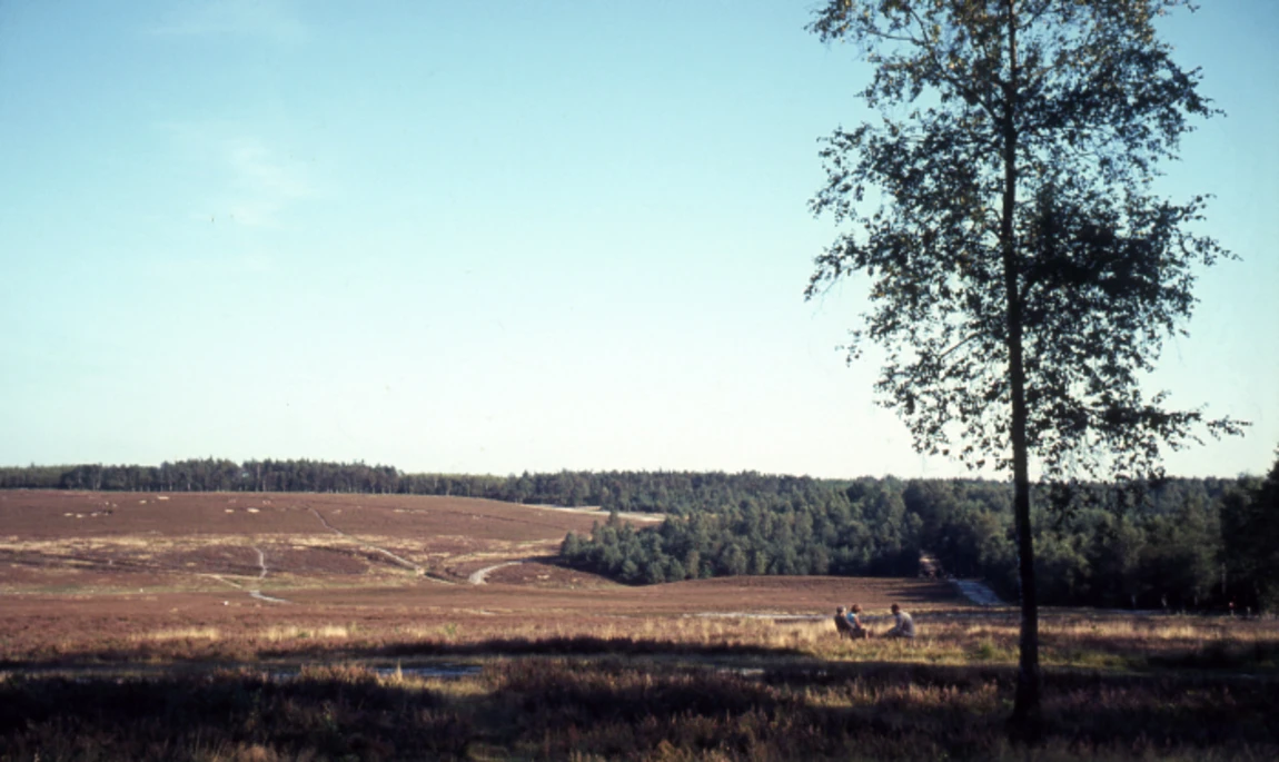 Natuurgebied Het Leesten